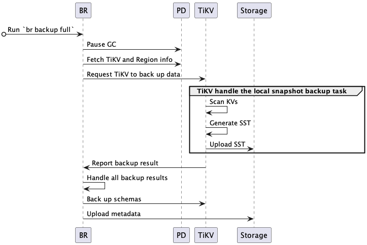 br-snapshot-backup-ts.png