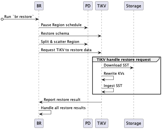 br-snapshot-restore-ts.png