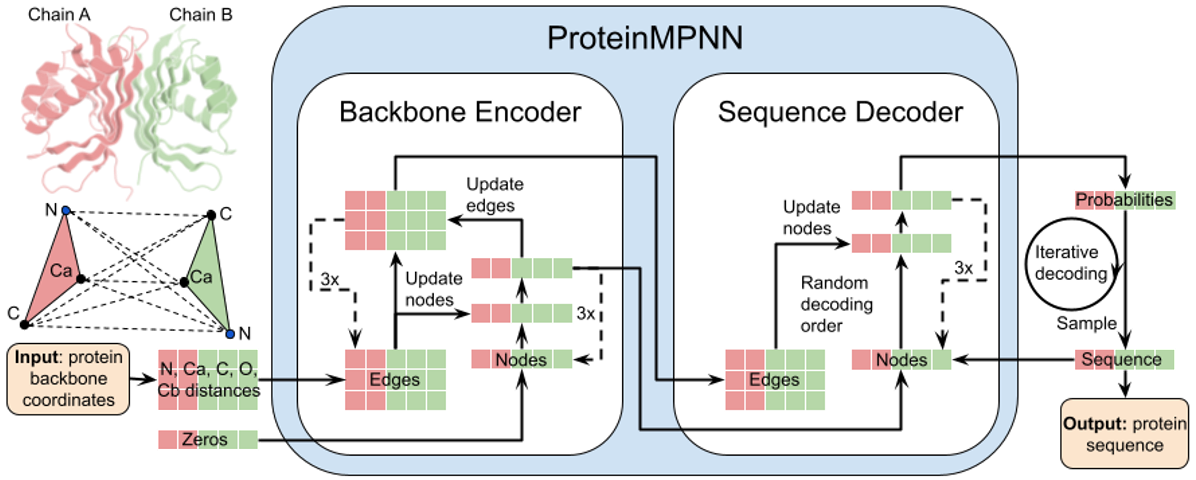 ProteinMPNN.png