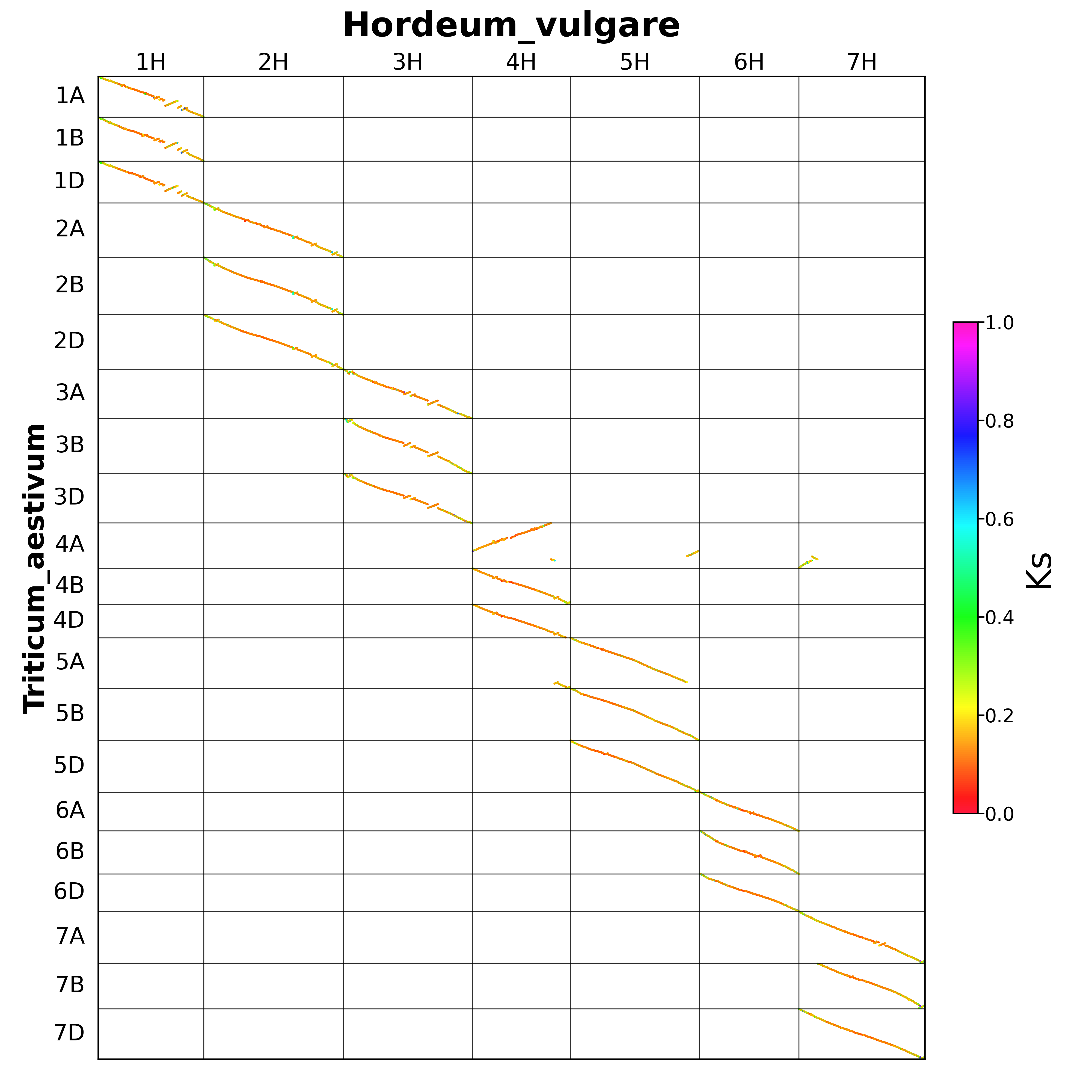 Triticum_aestivum-Hordeum_vulgare.blockks.png