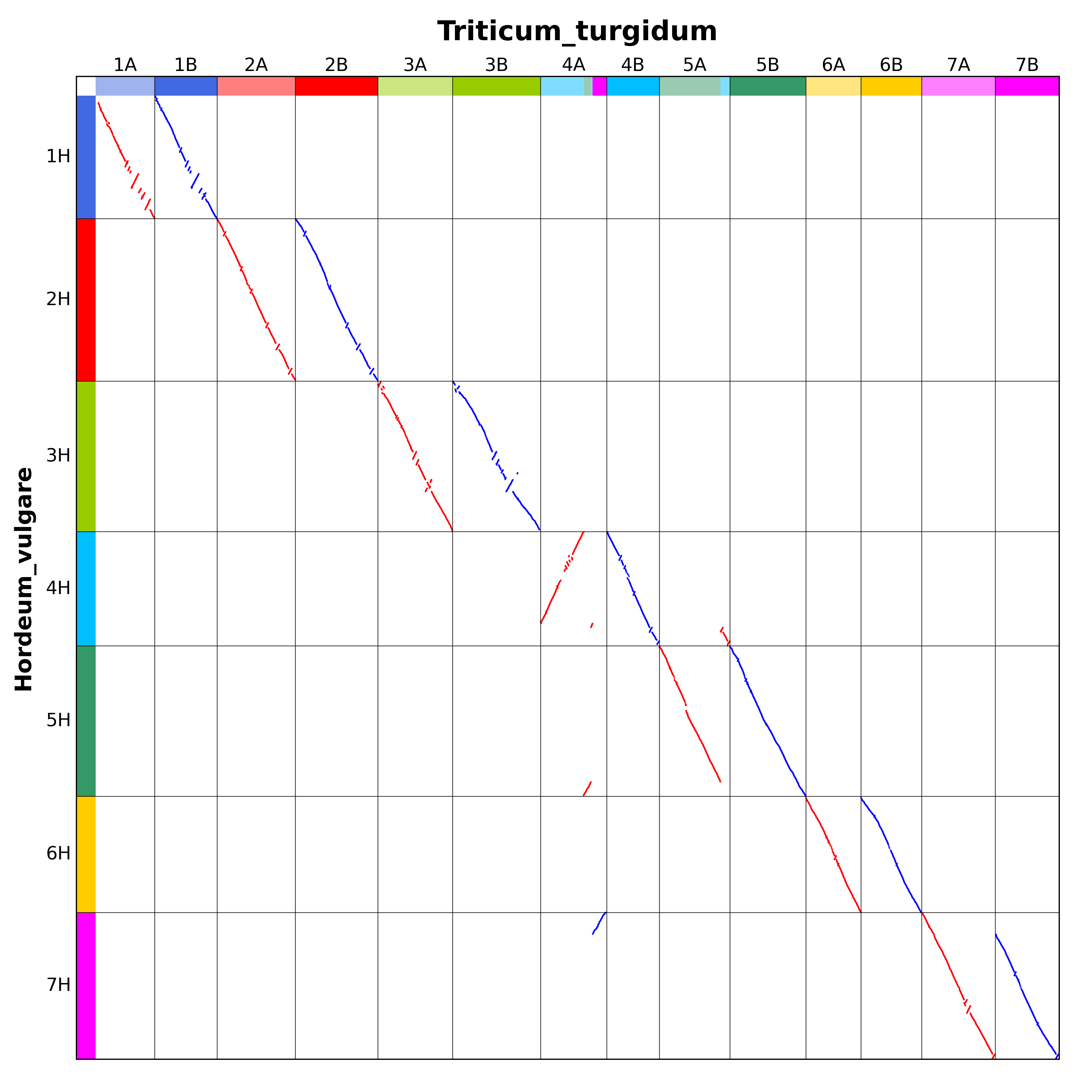 Triticum_turgidum-Hordeum_vulgare.alignment.png